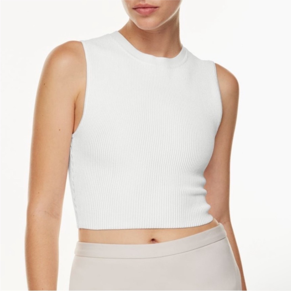 Aritzia Babaton Sculpt White Knit Ribbed Cropped Tee